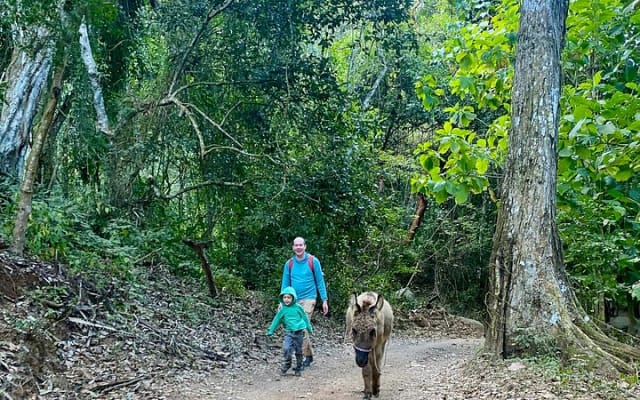 Caminata por la selva de Sayulita con biólogo: explora la Reserva Natikari photo 4