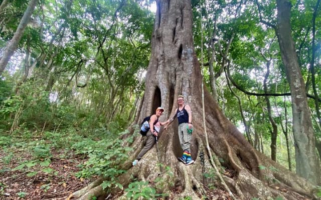Caminata por la selva de Sayulita con biólogo: explora la Reserva Natikari photo 5