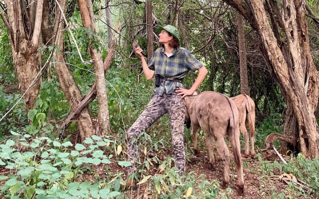 Caminata por la selva de Sayulita con biólogo: explora la Reserva Natikari photo 8