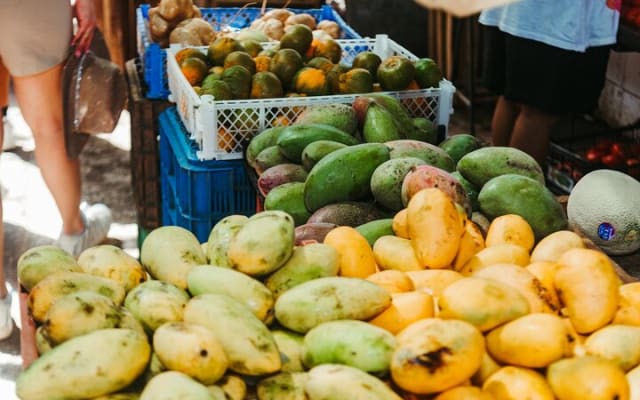 Mérida : saveurs traditionnelles, visite à pied photo 7