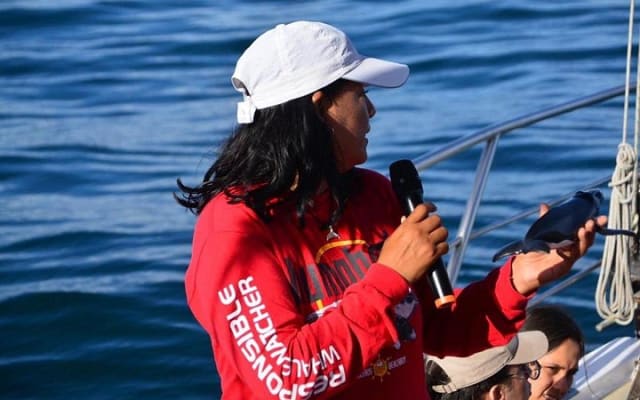 Tour de ballenas jorobadas de 4 horas con comida y barra al aire libre photo 4