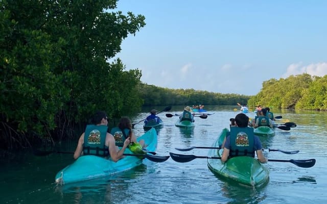 Kayak Mangroves Sunrise Experience photo 7