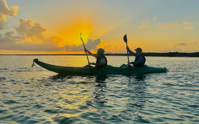 Kayak Mangroves Sunrise Experience photo 9