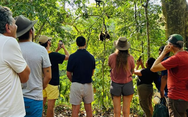 Punta Laguna Tour: Spider Monkey Reserve, cenote, canoe photo 3