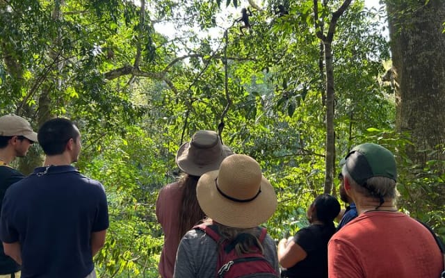Punta Laguna Tour: Spider Monkey Reserve, cenote, canoe photo 5