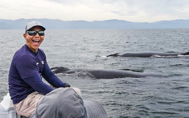 Observation des baleines en bateau rapide avec panier-repas à Puerto Vallarta photo 2