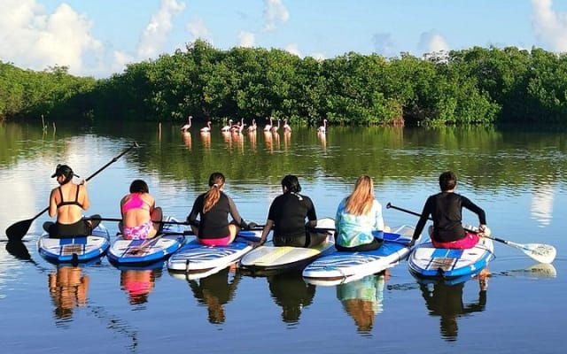 Paddle Board at Dawn in Yucatan photo 3