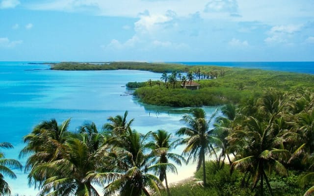 Contoy Island & Mujeres island, snorkeling & lunch on the beach. photo 6