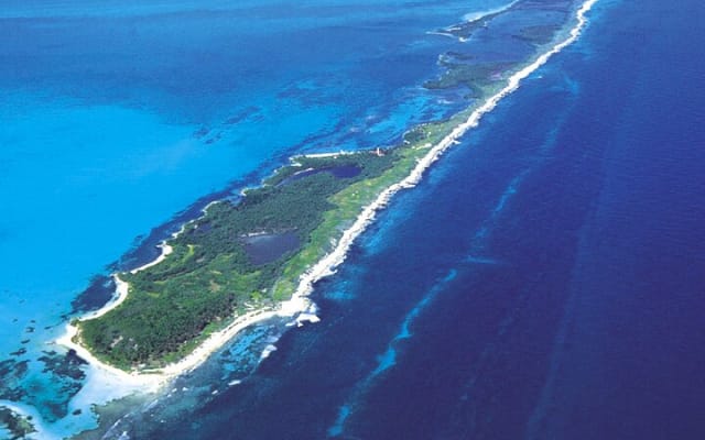Contoy Island & Mujeres island, snorkeling & lunch on the beach. photo 4