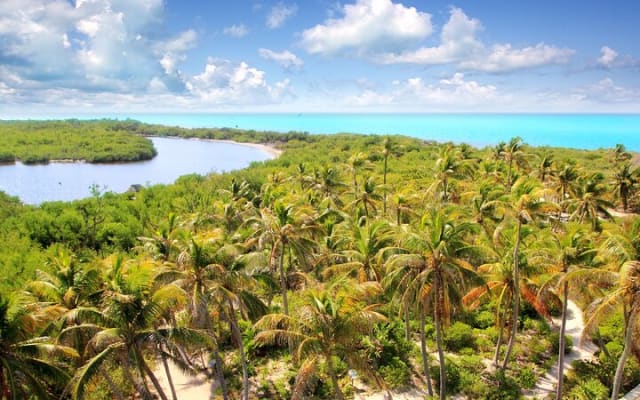 Contoy Island & Mujeres island, snorkeling & lunch on the beach. photo 7