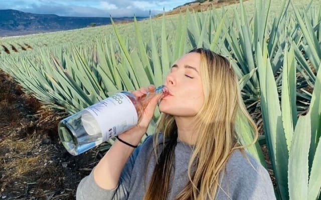 Oaxaca Countryside: Agave Fields & Mezcal