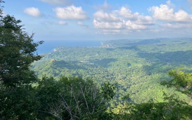 Caminata a Monkey Mountain photo 3