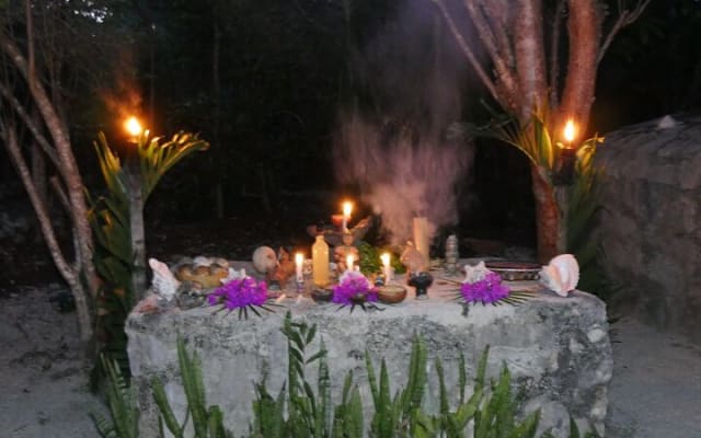 Mayan Ceremony in Tulum. Temazcal, Dinner and pick up included. photo 2