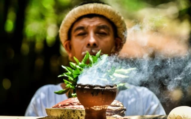 Uxmal Mayan Ruins, Chocolate Museum and Cenote Experience photo 4