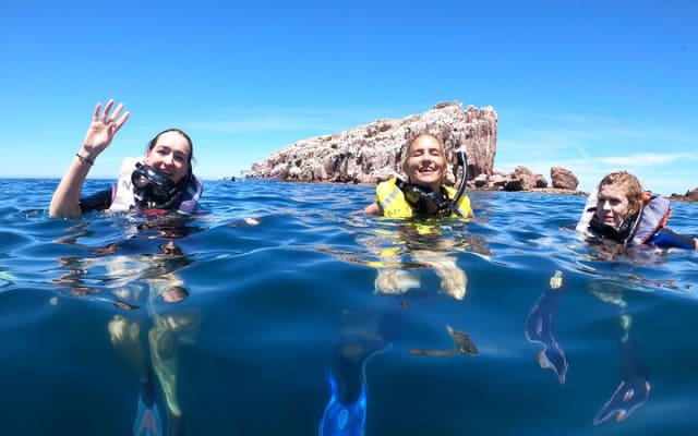 Swimming with Sea Lions in Espíritu Santo Island, La Paz, Mexico photo 2
