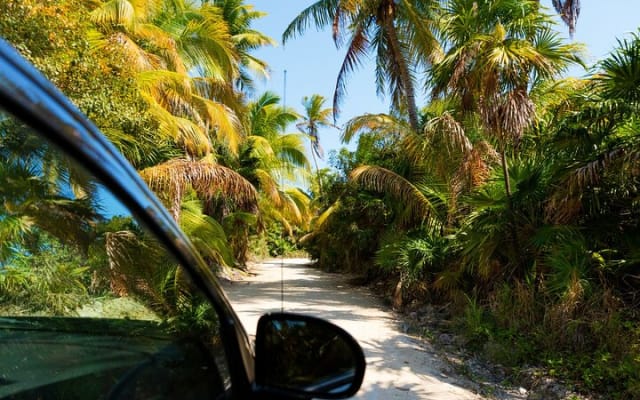 Self Guided Audio Walking Tour of Tulum photo 5