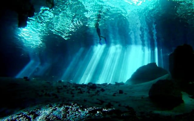Tulum Cenote DOS OJOS Unforgettable Scuba Dive Tour photo 8