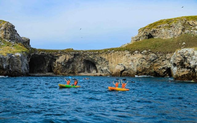 Tour a las Islas Marietas y Playa Escondida photo 4