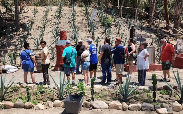 Puerto Vallarta Nature Hike, Beach and Tequila Tasting Experience