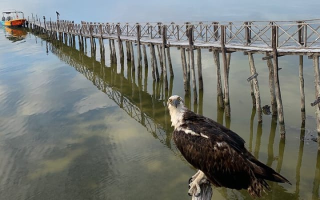 Holbox 3 Island Group Tour photo 2