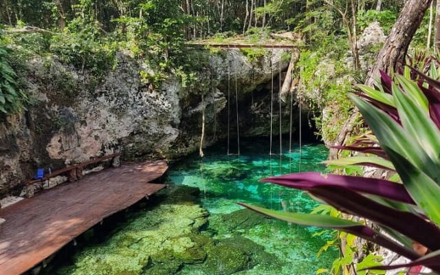 Explore Kaan Luum Lagoon and Two Cenotes photo 3