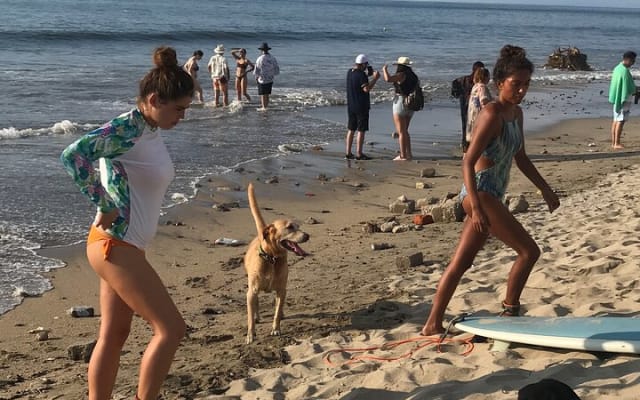 Surf Lesson for Beginners in Sayulita & Punta de Mita photo 13