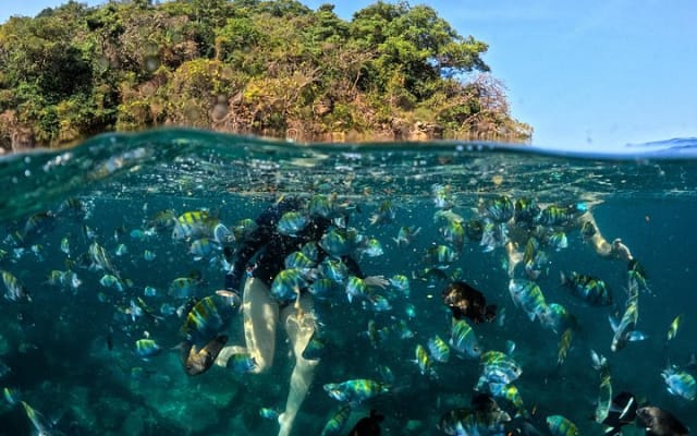 Puerto Vallarta: tour de snorkel con peces tropicales y tirolesa photo 8