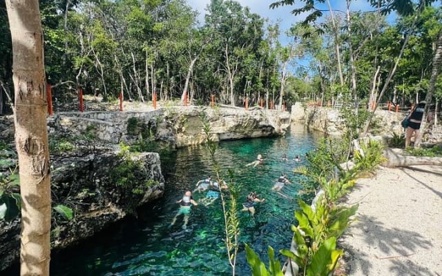 Tickets to 4 cenotes turtle house 2 caverns and 2 outdoors photo 2