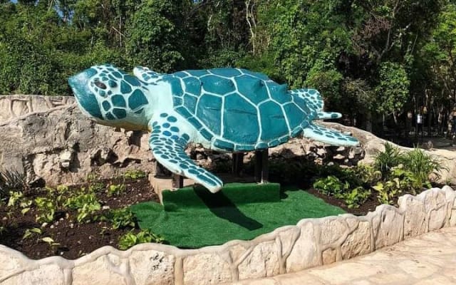 Tickets to 4 cenotes turtle house 2 caverns and 2 outdoors photo 7