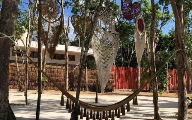 Tickets to 4 cenotes turtle house 2 caverns and 2 outdoors photo 8