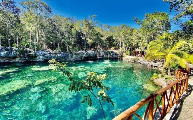 Tickets to 4 cenotes turtle house 2 caverns and 2 outdoors photo 12