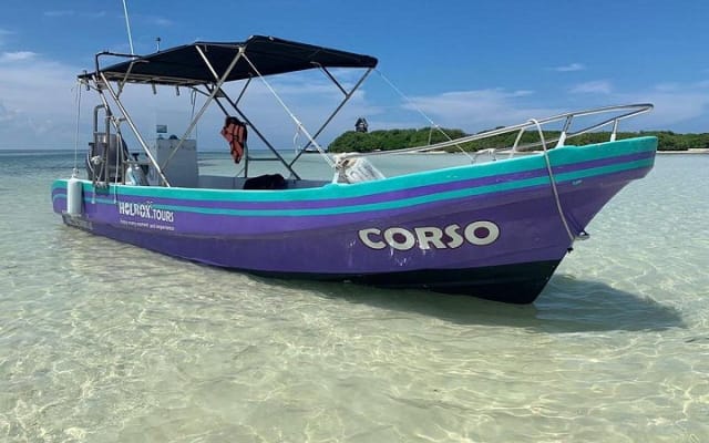 Eco Classic Tour Holbox photo 13