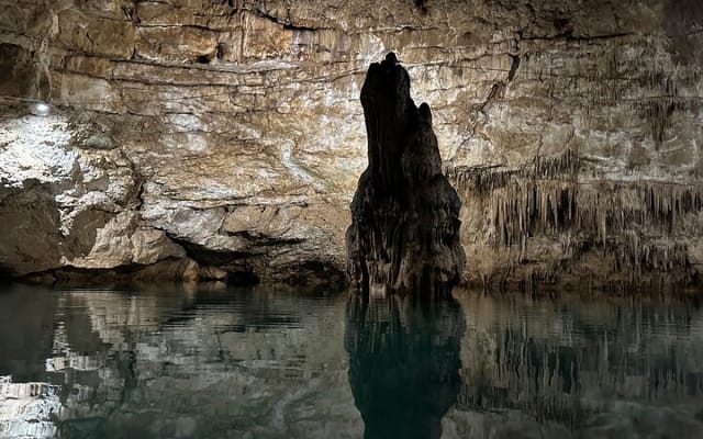 Turtles & Tulum Ruins! With Cenote from Tulum City photo 9