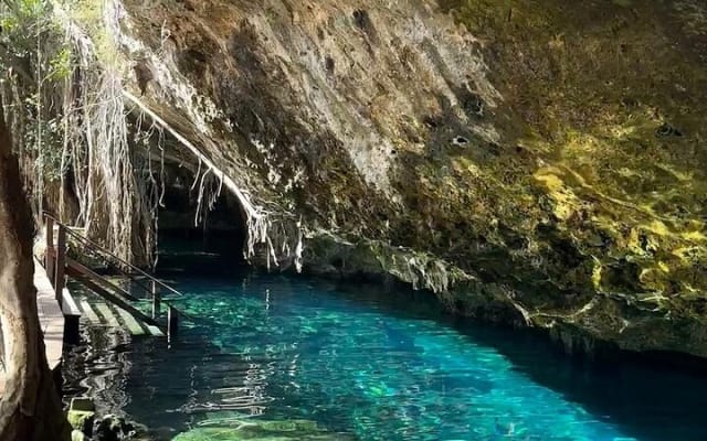 Turtles & Tulum Ruins! With Cenote from Tulum City photo 3