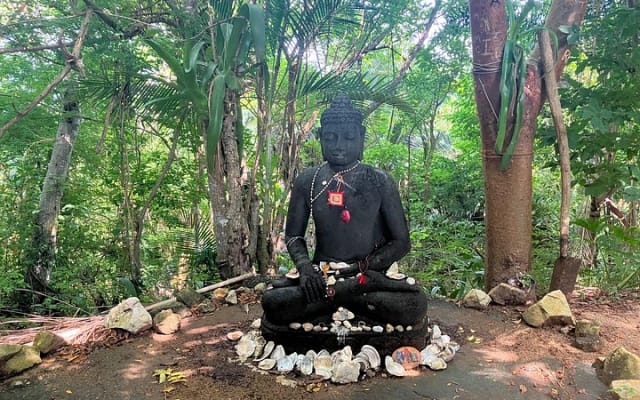 Sayulita to Camino al Buddha : 12 km Biocultural Hiking Experience photo 2