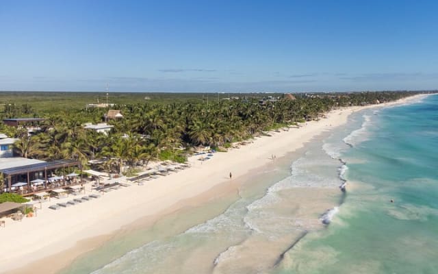La Zebra Beach Club Experience in Tulum photo 4