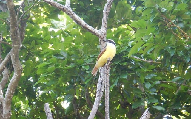 Sian Ka'an Tour (Private, Half Day) photo 5