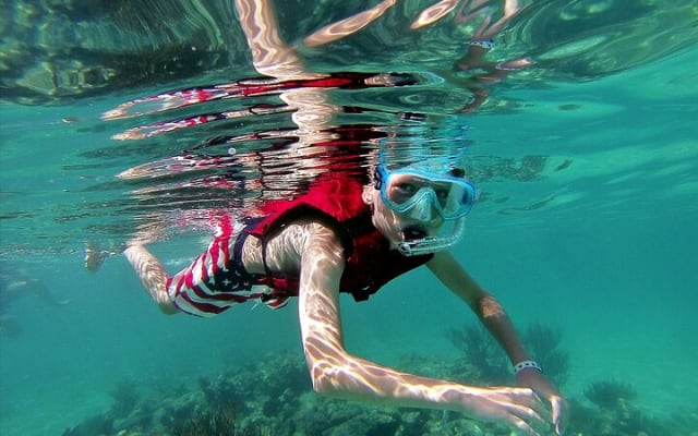 Reef Snorkel and Cenote Experience photo 3