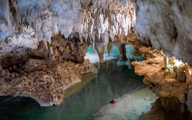 Reef Snorkel and Cenote Experience photo 4