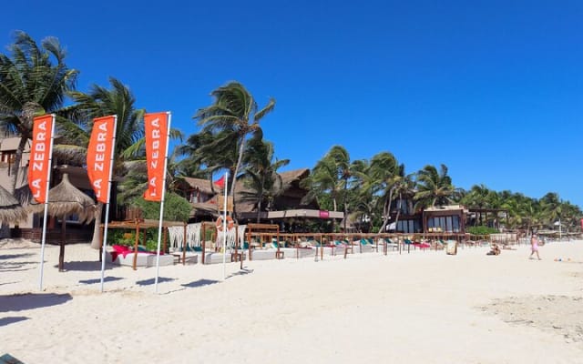 La Zebra Beach Club Experience in Tulum photo 5