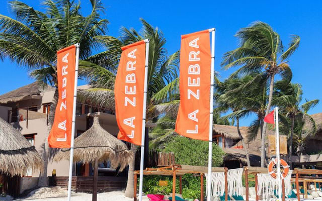 La Zebra Beach Club Experience in Tulum photo 6