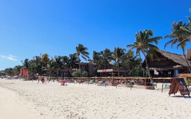 La Zebra Beach Club Experience in Tulum photo 7