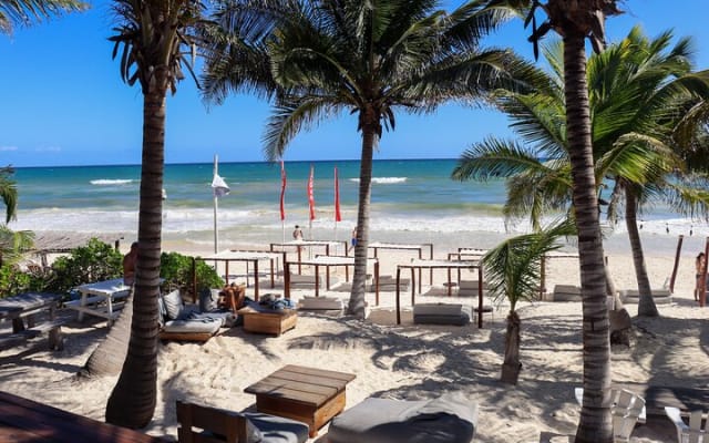 La Zebra Beach Club Experience in Tulum photo 9