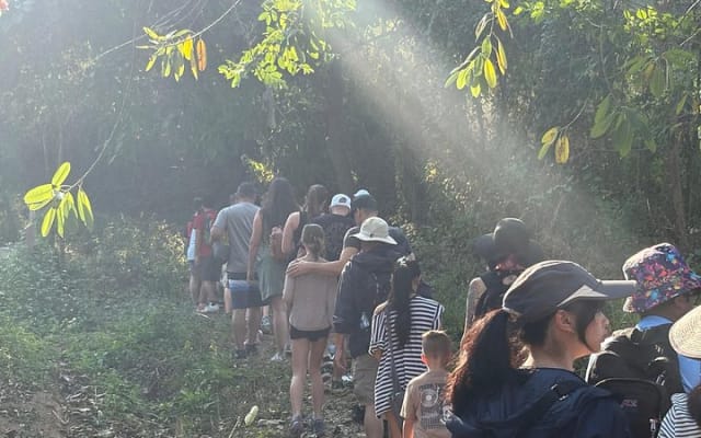 Sierra Madre Hike & Rancho Experience photo 7