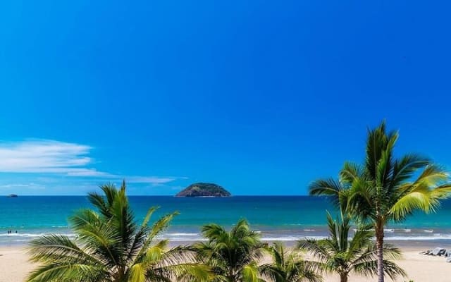 Excursion à Rincón de Guayabitos avec visite de l'île Coral photo 2