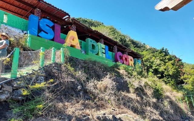 Excursion à Rincón de Guayabitos avec visite de l'île Coral photo 3