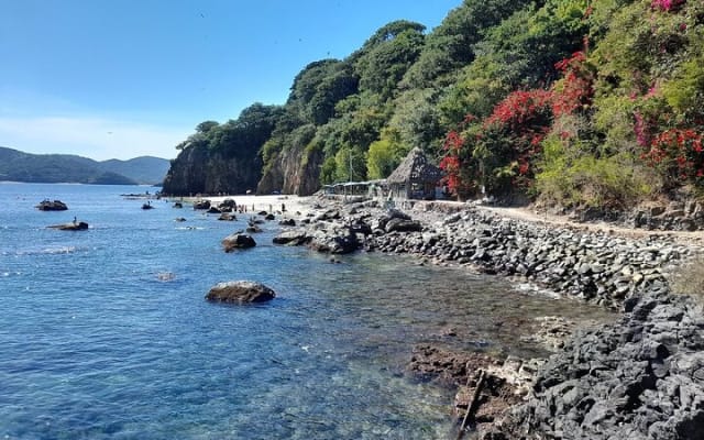Excursion à Rincón de Guayabitos avec visite de l'île Coral photo 4