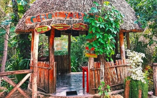 Coba and Cenote Private Day Trip from Tulum photo 4