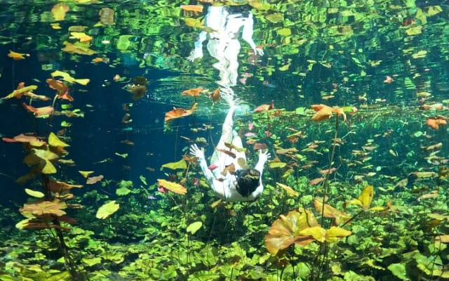 Cenotes Photos Shoot photo 11