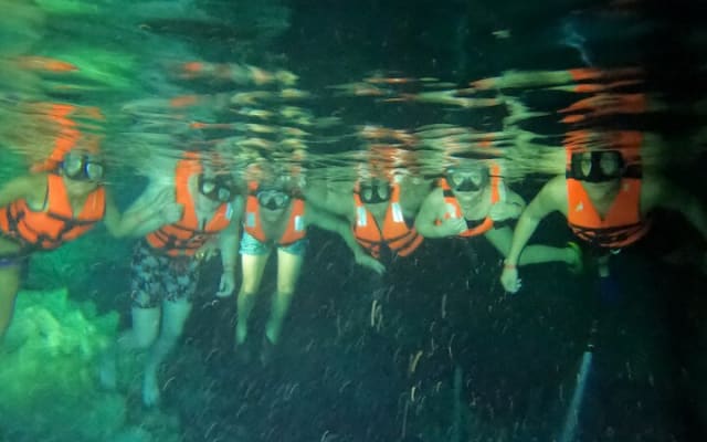 Private Tour Swim with Turtles, 2 Cenotes & Gopro photo 12